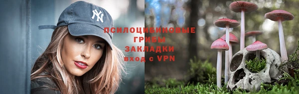 амфетамин Новодвинск